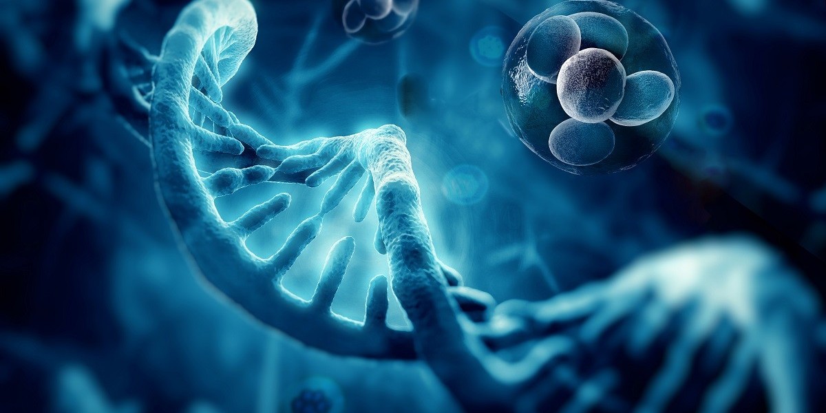 Overview of Cell Lysis and Protein Extraction   