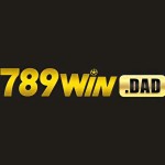 789win dad Profile Picture