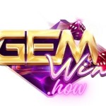 gemwinvn Profile Picture