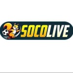 socolive13co1 Profile Picture