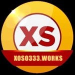 Xoso333 Profile Picture