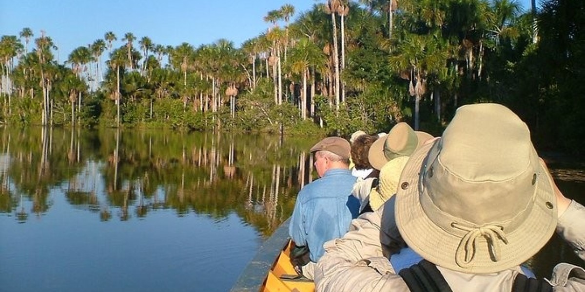 Why Choose the Peru Manu National Park Tour from Manu Wildlife Peru?