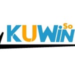 Kuwin Casino Profile Picture