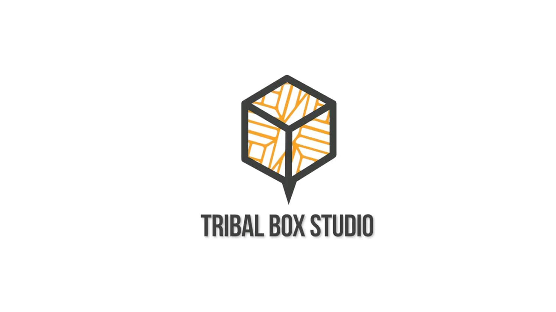 Video Production Services | Tribal Box Studio