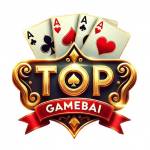 TOP GAME BÀI VN Profile Picture