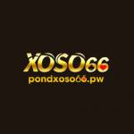 Xoso66 Nhà Cái Profile Picture