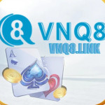 VNQ8 Profile Picture