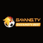 Gavangtv Profile Picture