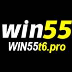 Win55t6 Pro Profile Picture