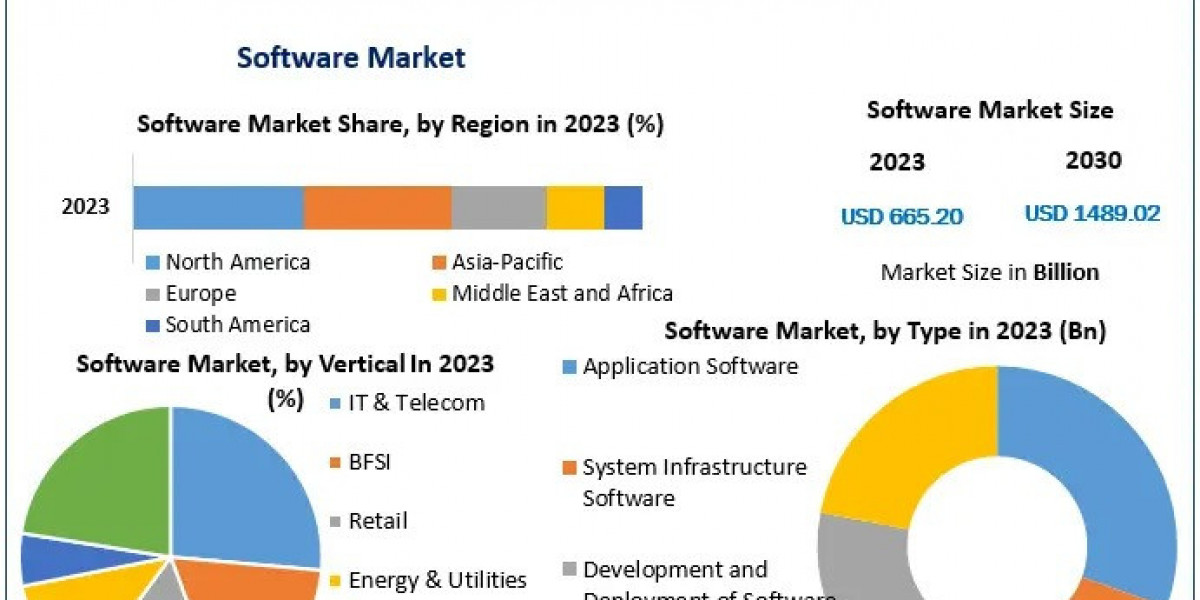 Software Market 2030 Revolutionized by Advancements in Machine Learning and Cloud Infrastructure