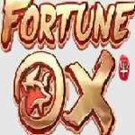 FortuneOx Casino Profile Picture