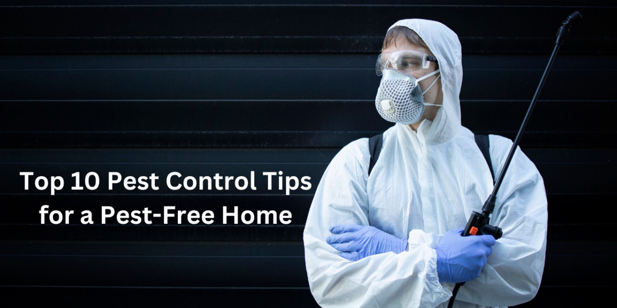 Top 10 Pest Control Tips for a Pest-Free Home