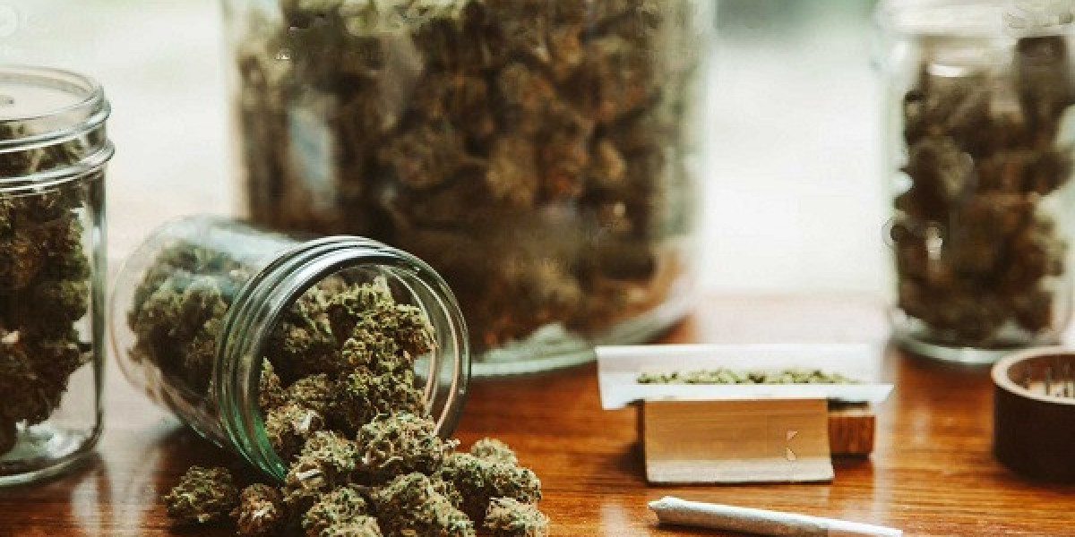 What to Expect When You Buy Weed Online for the First Time