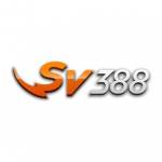 sv388comde Profile Picture