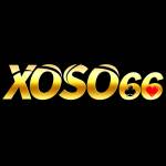 xoso66 vnco Profile Picture