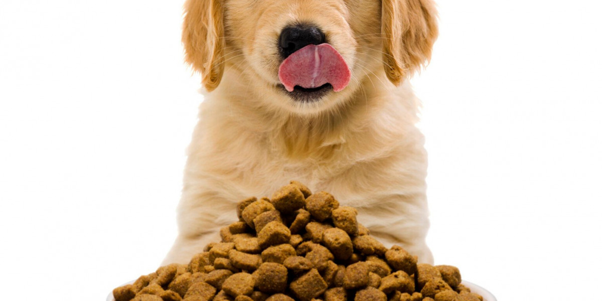 Pet Food Palatants Market Trends: How Technology and Consumer Demands are Reshaping the Industry