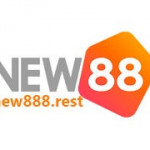 New88 Chính chủ Profile Picture