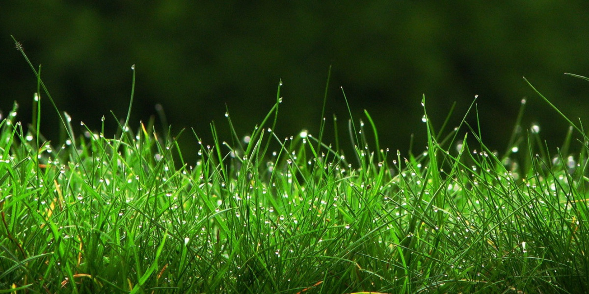 Can You Play on Artificial Grass? Let’s Break It Down