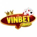 vinbetbio Profile Picture