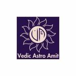 Vedic Astro Amit Profile Picture