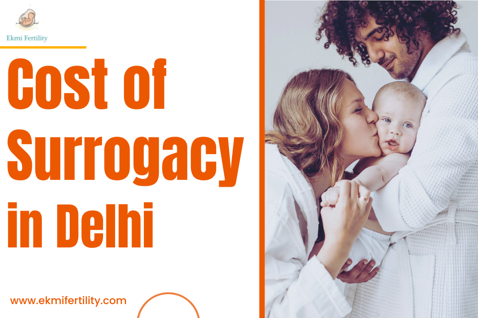 Cost of Surrogacy in Delhi | It's Cost and Guaranteed Package