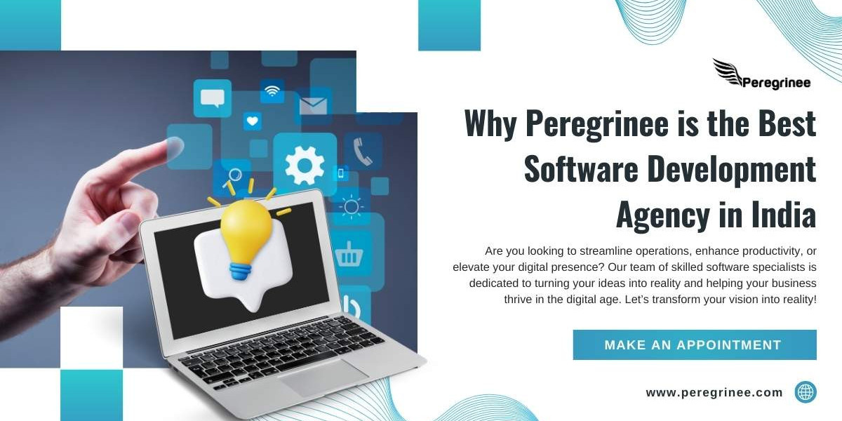 Why Peregrinee is the Best Software Development Agency in India