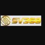 sv368 vnco Profile Picture