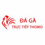 Đá Gà Trực Tiếp Thomo Hôm Nay Profile Picture