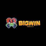 BigWin Online Casino Profile Picture