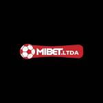 mibet ltda Profile Picture