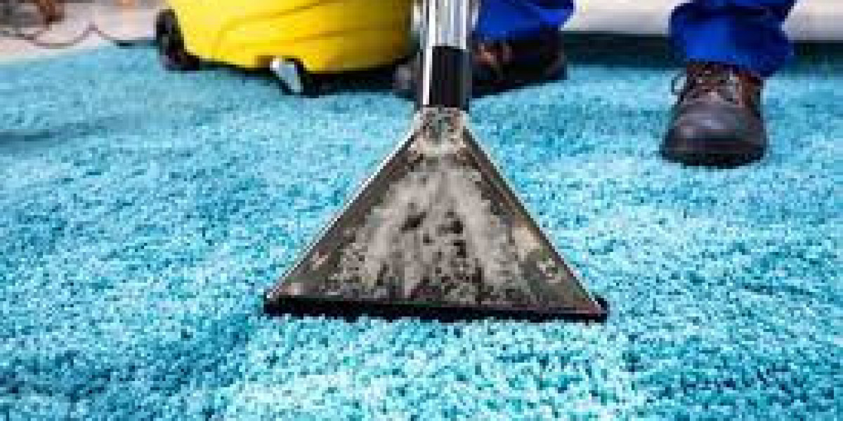 Professional Carpet Cleaning for Improved Comfort and Wellness