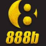 888b pro Profile Picture