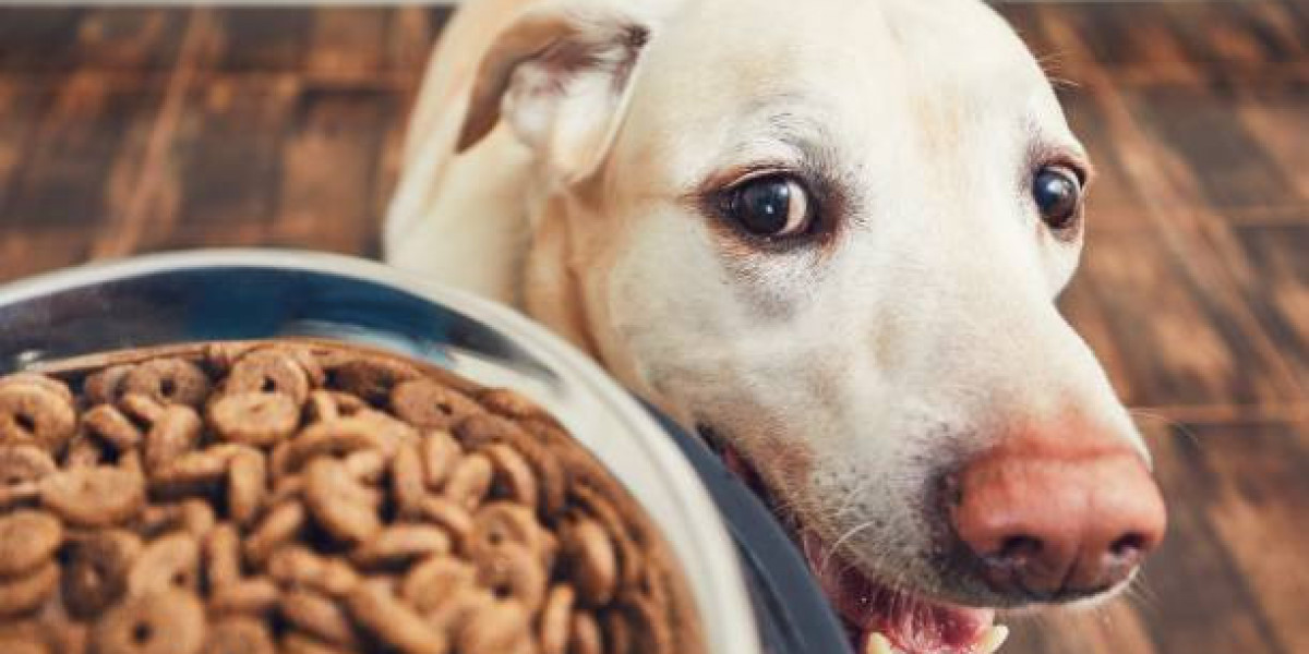 Pet Food Market: Adapting to the Growing Demand for Alternative Proteins