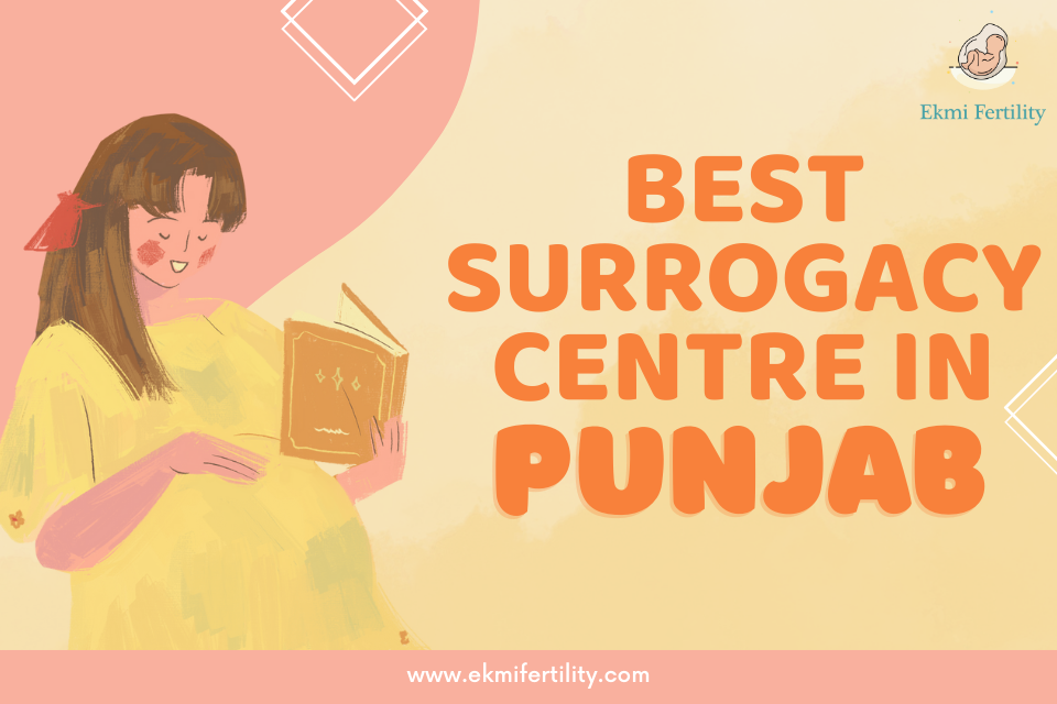 Best Surrogacy Centre in Punjab | Guaranteed Surrogacy - Ekmi Fertility