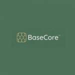 BaseCore Ground Stabilization Profile Picture