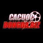 cacuocbongda biz Profile Picture