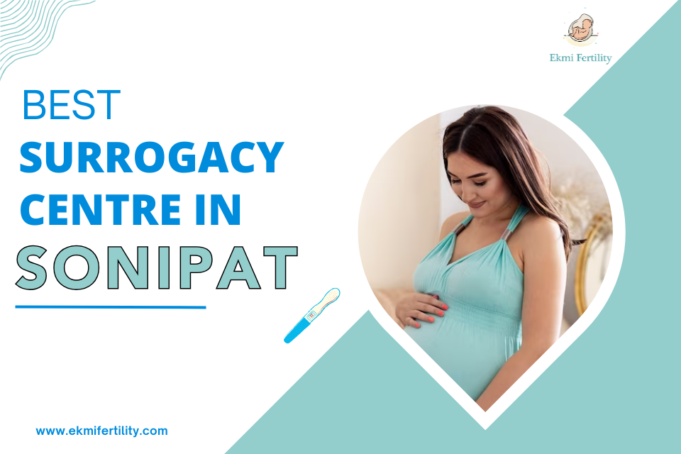 Best Surrogacy Centre in Sonipat - Ekmi Fertility