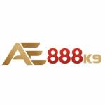 AE888 actionk9 Profile Picture