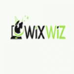 thewix wiz Profile Picture