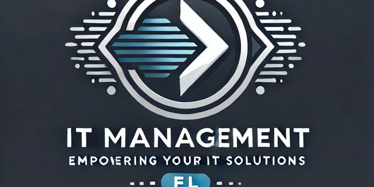 Custom IT Solutions for Florida-Based Enterprises