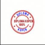 diplomakopens Profile Picture