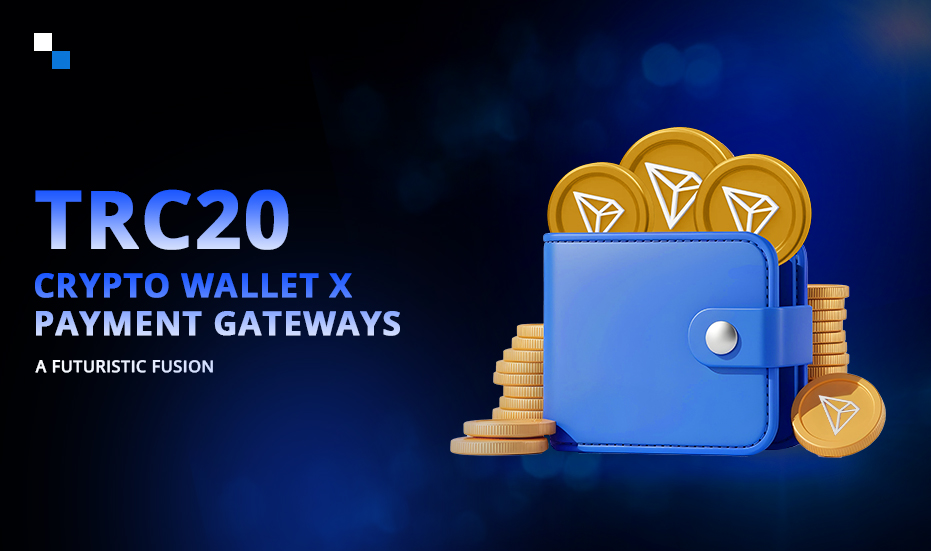 TRC20 Crypto Wallet X Crypto Payment Gateway Solutions: Use Cases