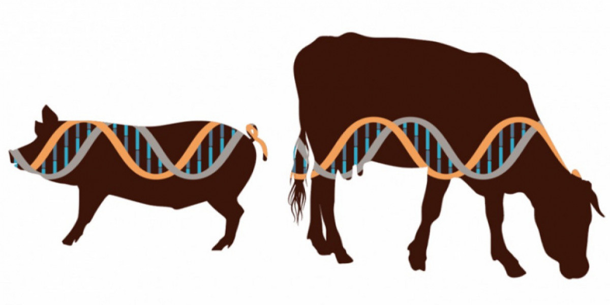 Animal Genetics Market Scope and Impact of Biotechnology on Global Livestock Production