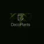 decoplants Profile Picture