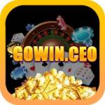 gowinceo Profile Picture