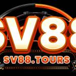 SV88 Profile Picture