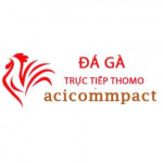 Đá Gà Trực Tiếp Thomo Hôm Nay Profile Picture