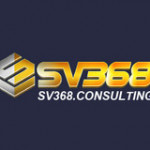 SV368 Profile Picture