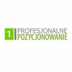 ProfesjonalnePozycjonowanie Profile Picture