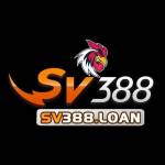 SV388 Profile Picture